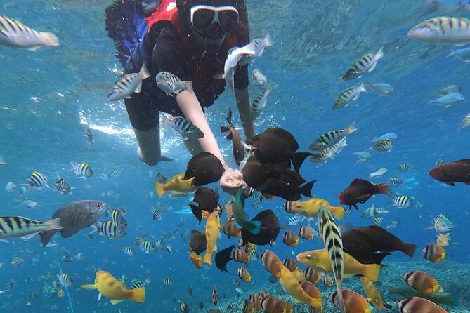 Snorkeling At Blue lagoon And Hidden waterfall - What the water time means for beginners