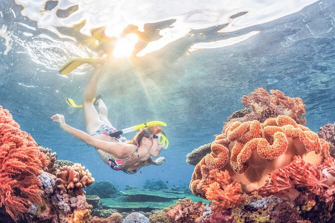 Snorkeling at Blue Lagoon Bali with Lunch and Transport - Arriving at the beach and boarding the boat