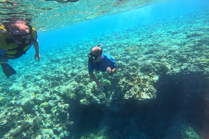 Snorkeling at Menjangan Island Bali Hidden Underwater Gem - Who will enjoy this outing most