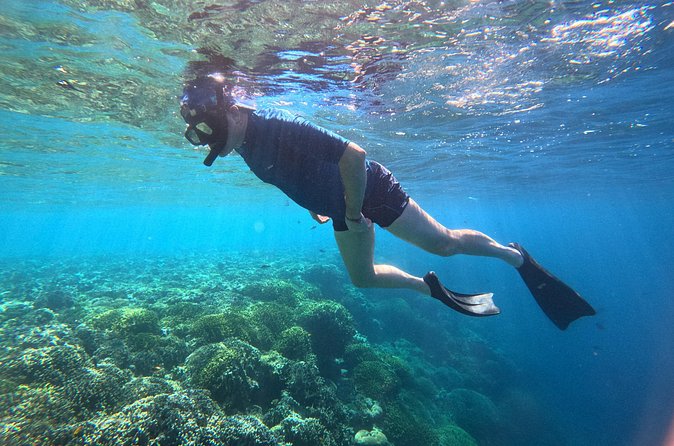 Snorkeling at Menjangan Island Bali Hidden Underwater Gem - Small details that can improve your day