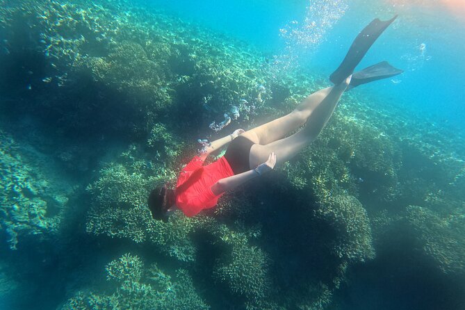 Snorkeling at Menjangan Island Bali Hidden Underwater Gem - The 9:00 AM pickup and Banyuwedang Beach departure