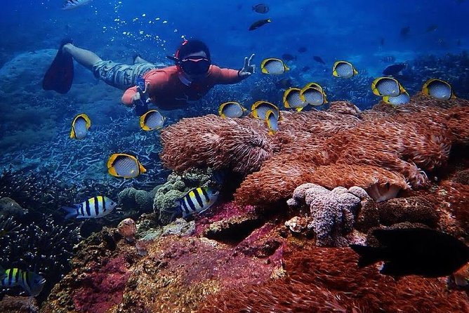 Snorkeling Day Trip To Lembongan and Penida - Why this $35.27 day trip offers good value
