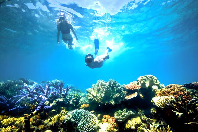 Snorkeling in Blue Lagoon Padang Bai Bali : Snorkel in the clear blue waters - Private Pickup and the Long Road East