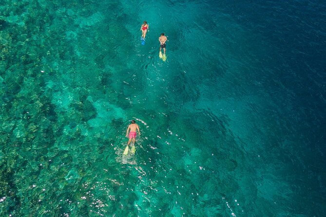 Snorkeling in Menjangan Island with Pickup and Lunch - Why Menjangan Island works well for a half-day