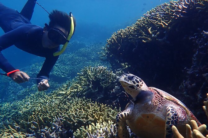 Snorkeling in Menjangan Island with Pickup and Lunch - Second snorkeling stop: another hour in the water
