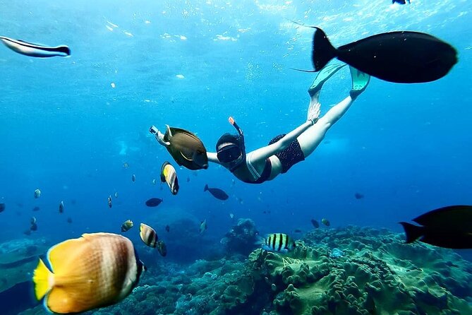 Snorkeling In Nusa Penida And Uluwatu Sunset Tours - Why this Bali day tour works