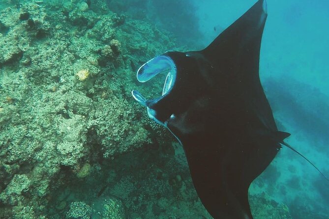 Snorkeling In Nusa Penida And Uluwatu Sunset Tours - Uluwatu Temple after the boat trip