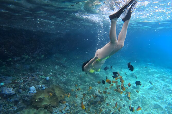 Snorkeling In Nusa Penida Departing From Bali Island - Wall Point and the best chance of coral