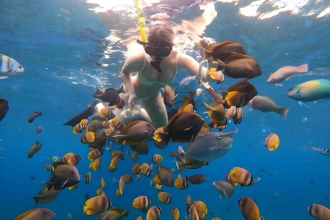 Snorkeling In Nusa Penida Departing From Bali Island - Nusa Penida’s scenery from the water