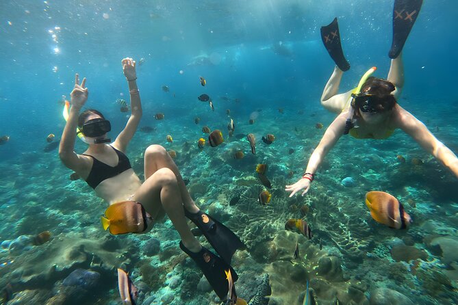 Snorkeling In Nusa Penida Departing From Bali Island - Equipment, comfort, and practical limits