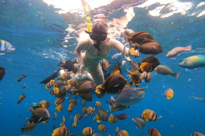 Snorkeling In Nusa Penida Island With Manta Ray From Bali - What the two-hour water session really means