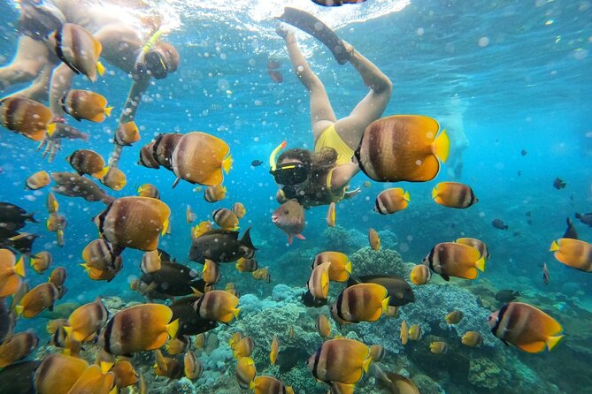 Snorkeling In Nusa Penida Island With Manta Ray From Bali - Wall Point and Crystal Bay on the route