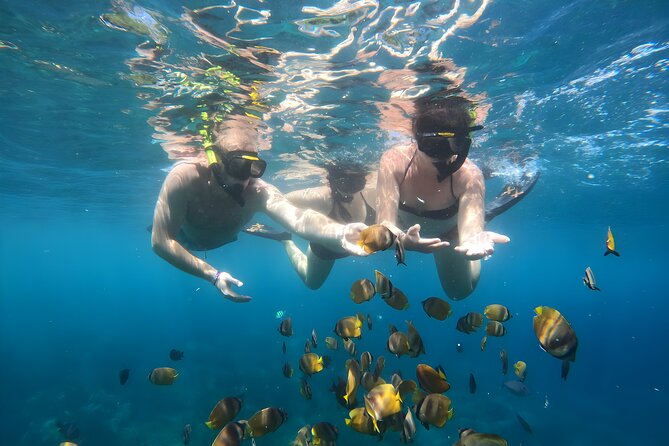Snorkeling In Nusa Penida Island With Manta Ray From Bali - Manta Bay and the limits of a wild-animal promise