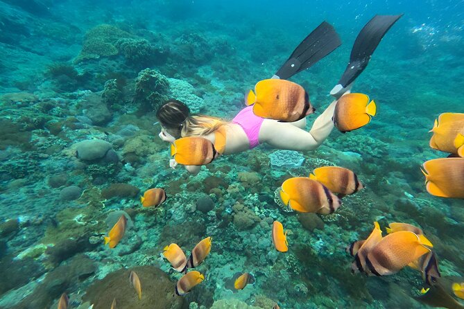 Snorkeling In Nusa Penida Island With Manta Ray From Bali - The return crossing and hotel drop-off