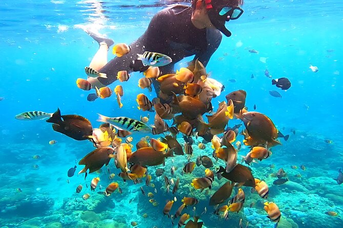 Snorkeling In Nusa Penida Island With Manta Ray From Bali - What the $95 price covers