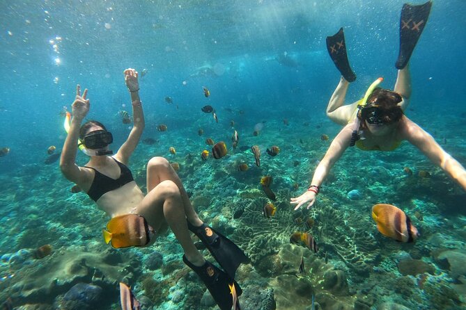 Snorkeling In Nusa Penida Island With Manta Ray From Bali - Gamat Bay and the first look below the surface