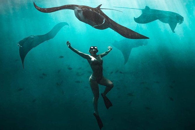 Snorkeling Manta Ray Safari in Nusa Penida - Key points before you book