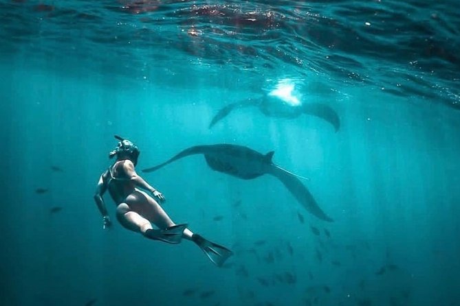 Snorkeling Manta Ray Safari in Nusa Penida - Wall Point: the final underwater stop