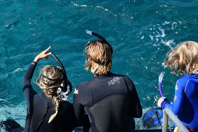 Snorkeling Manta Rays, Land Tour Tembeling Pool & Kelingking - Wall Bay Point: coral, boats, and a short swim
