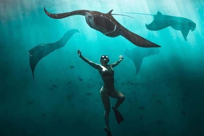Snorkeling Nusa Penida and Island Tour Package - Kelingking Beach and the famous cliff view