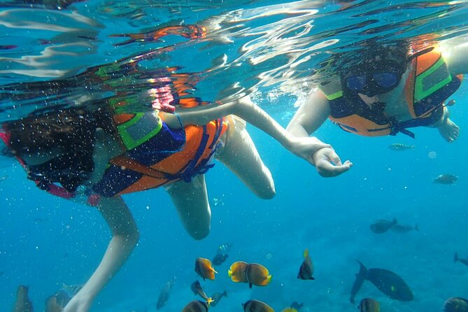 Snorkeling Nusa Penida and Island Tour Package - Who will get the most from this day