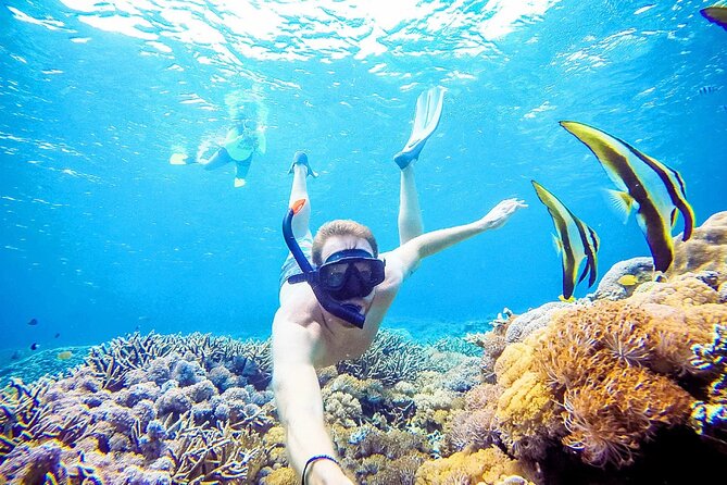 Snorkeling Nusa Penida and Island Tour Package - What the shared snorkeling boat means