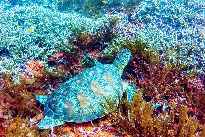 Snorkeling Package at Padang Bai Blue Lagoon - The road to Padangbai