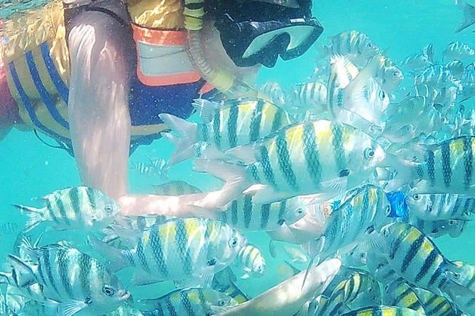 Snorkeling Tour In Gili Islands Pick Up From Lombok Or Gili - Key points to know before booking
