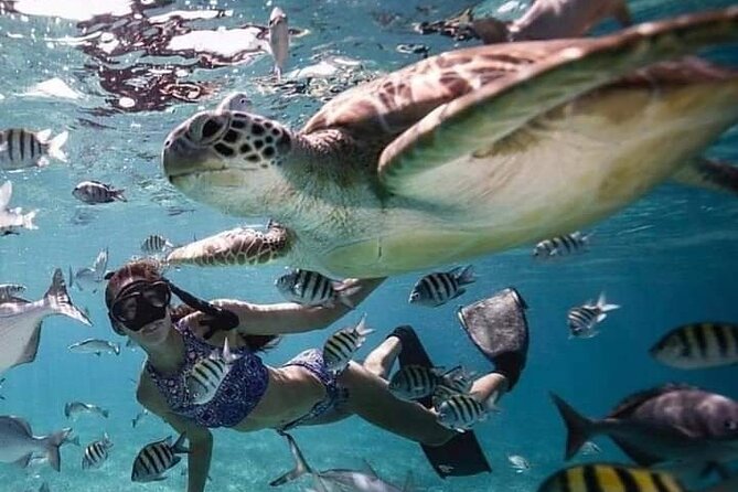 Snorkeling Tour In Gili Islands Pick Up From Lombok Or Gili - Gili Air: the final snorkeling stop