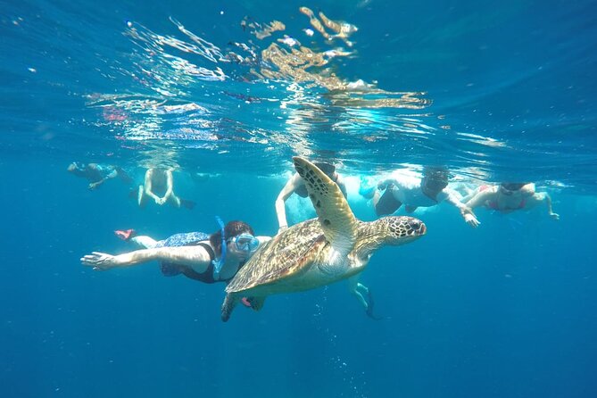 Snorkeling Tour In Gili Islands Pick Up From Lombok Or Gili - What is included for the $128.21 price