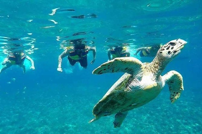 Snorkeling Tour In Gili Islands Pick Up From Lombok Or Gili - Gili Trawangan: your first water stop
