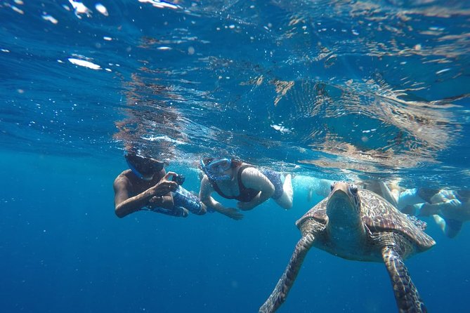 Snorkeling Tour In Gili Trawangan, Gili Meno And Gili Air Pick Up From Bali - Gili Air: a final session at Fish Spot
