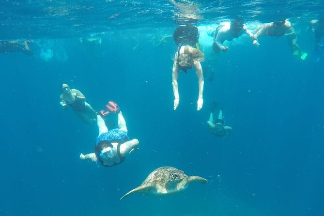 Snorkeling Tour In Gili Trawangan, Gili Meno And Gili Air Pick Up From Bali - The real cost: time, crowds, and energy