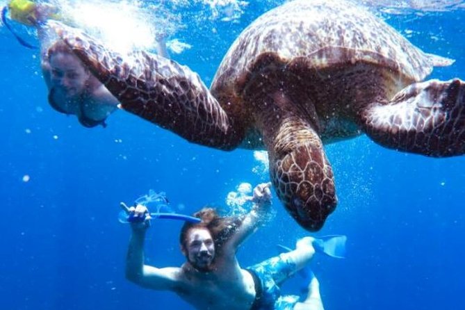 Snorkeling Tour In Gili Trawangan, Gili Meno And Gili Air Pick Up From Bali - Gili Trawangan: starting at Turtle Spot
