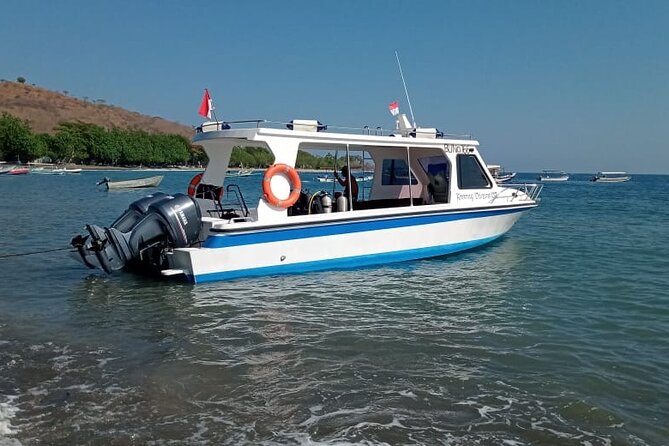 Snorkeling Trip to Menjangan Island - Service that keeps the day simple