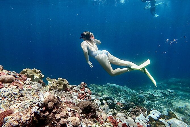 Snorkeling Trips with Manta Ray from Nusa Lembongan - Stop three: Mangrove Point near Nusa Lembongan