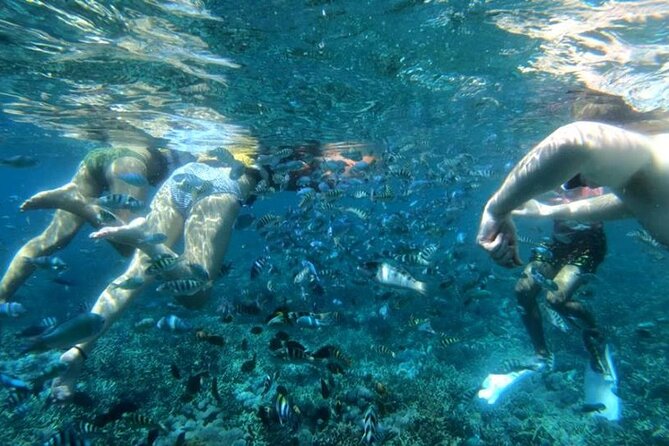 Snorkeling Trips with Manta Ray from Nusa Lembongan - Safety for non-swimmers and first-timers