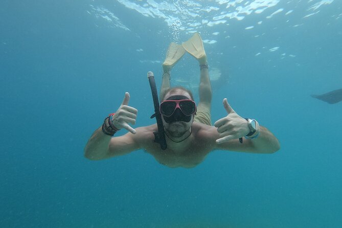 Snorkeling with turtle and statue in Gilis - Coral gardens and the small details underwater