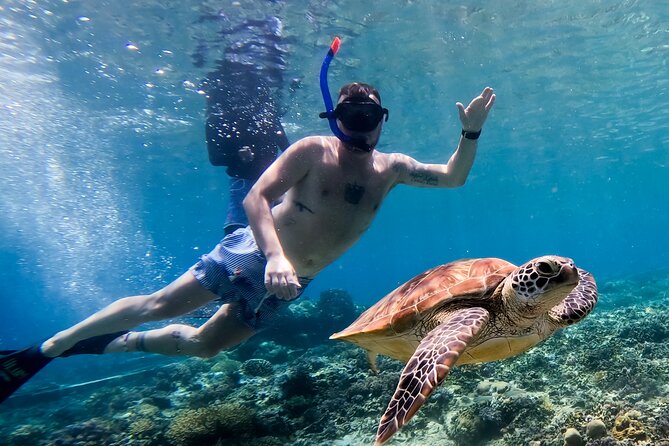 Snorkeling with turtle and statue in Gilis - Finding turtles in their feeding area