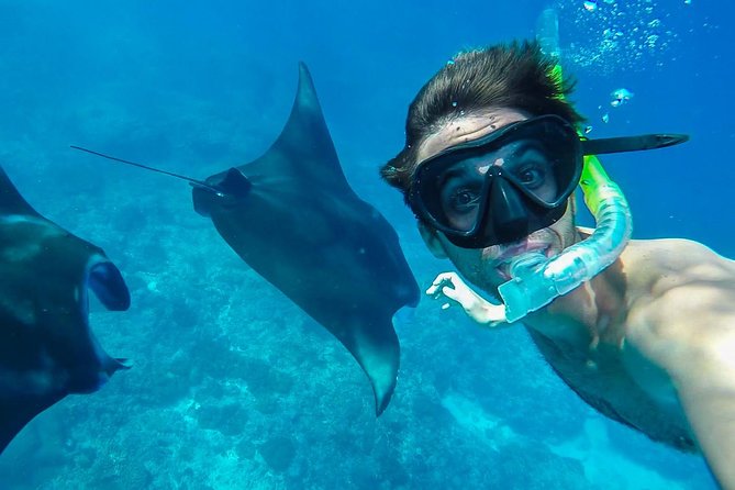 Snorkelling in Nusa Penida - Manta Point - Starting at Neptune Scuba Diving in Sanur