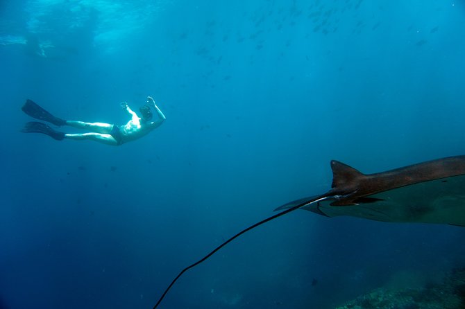 Snorkelling with Manta Rays at Nusa Penida and Lembongan - Lunch on the Speedboat Keeps the Day Moving