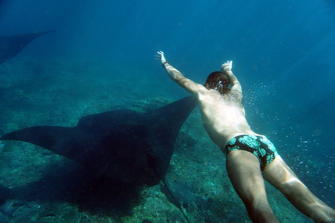 Snorkelling with Manta Rays at Nusa Penida and Lembongan - Timing, Weather, and the Practical Trade-Offs