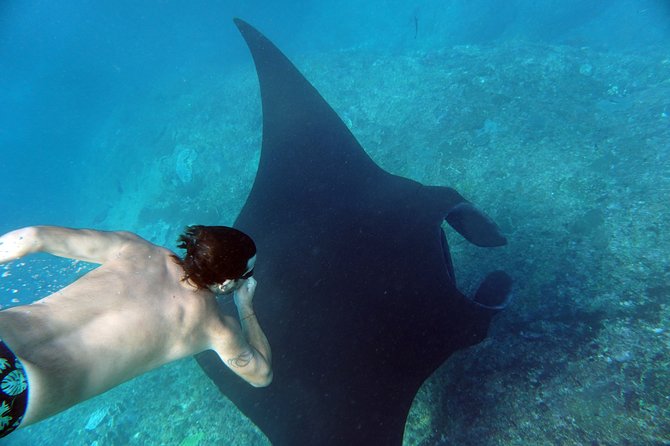 Snorkelling with Manta Rays at Nusa Penida and Lembongan - Who Will Get the Most From This Experience