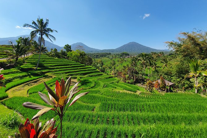 Solo or Group Tour - 10 Hours, 5 Persons Max - A full day with a private guide
