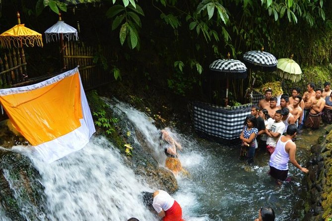 Spiritual Purification and Local Healer Visit Tour (ALL INCLUDED) - How This Ubud Tour Fits Together