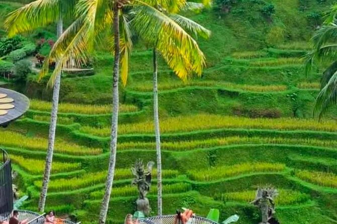 Sunset Sailboat Dinner Cruise & Private Ubud highlights Tour. - Tegallalang Rice Terrace brings the classic Ubud view