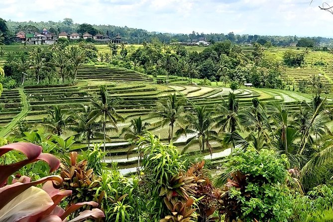 Tanah Lot and Jatiluwih Unesco Rice Terrace Private Tour - Why this private Bali day trip works