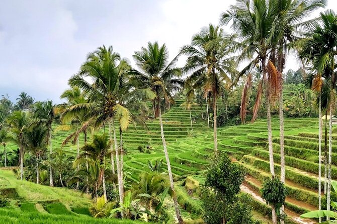 Tanah Lot and North Bali Private Tour - All inclusive - What the $73 price really covers