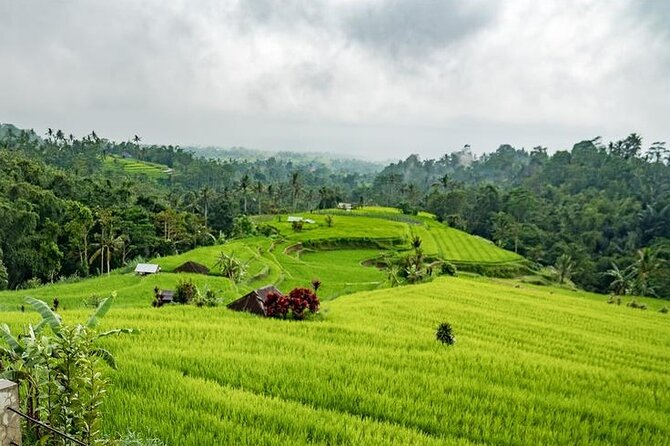 Tanah Lot and North Bali Tour: Scenic Journey - Tanah Lot closes the tour with Bali’s signature view