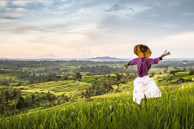 Tanah Lot, Jatiluwih Rice Terrace and Waterfall Day Tour - Ulun Danu Beratan beside the mountain lake